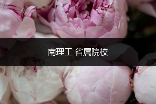 南理工 省属院校