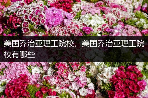 美国乔治亚理工院校，美国乔治亚理工院校有哪些