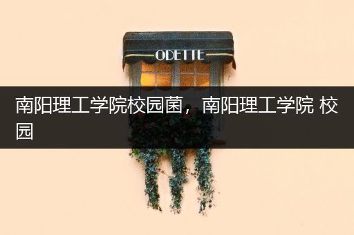 南阳理工学院校园菌，南阳理工学院 校园