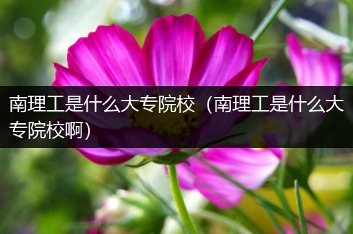 南理工是什么大专院校（南理工是什么大专院校啊）
