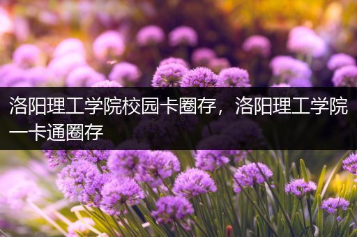 洛阳理工学院校园卡圈存，洛阳理工学院一卡通圈存