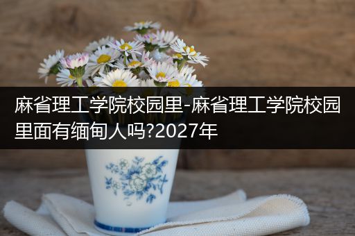 麻省理工学院校园里-麻省理工学院校园里面有缅甸人吗?2027年