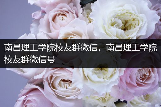 南昌理工学院校友群微信，南昌理工学院校友群微信号