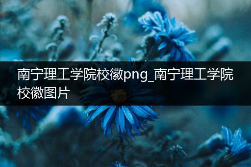 南宁理工学院校徽png_南宁理工学院校徽图片