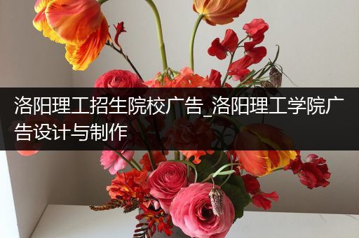 洛阳理工招生院校广告_洛阳理工学院广告设计与制作