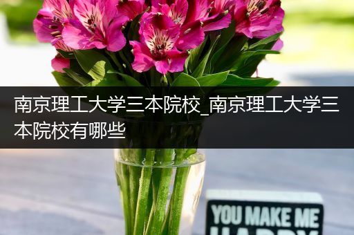 南京理工大学三本院校_南京理工大学三本院校有哪些