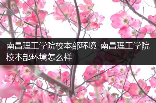 南昌理工学院校本部环境-南昌理工学院校本部环境怎么样
