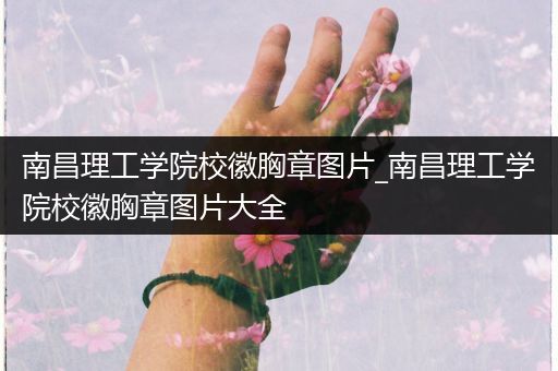 南昌理工学院校徽胸章图片_南昌理工学院校徽胸章图片大全