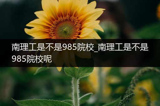 南理工是不是985院校_南理工是不是985院校呢