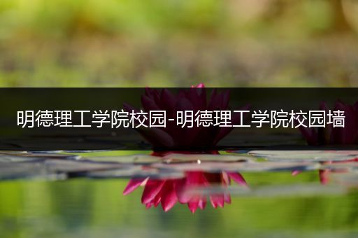 明德理工学院校园-明德理工学院校园墙