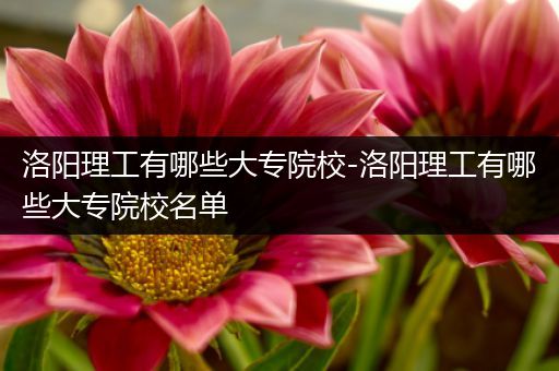 洛阳理工有哪些大专院校-洛阳理工有哪些大专院校名单