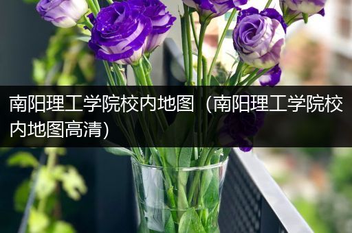 南阳理工学院校内地图（南阳理工学院校内地图高清）