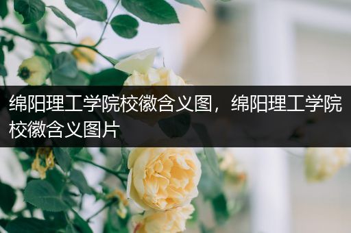 绵阳理工学院校徽含义图，绵阳理工学院校徽含义图片