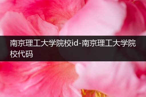 南京理工大学院校id-南京理工大学院校代码