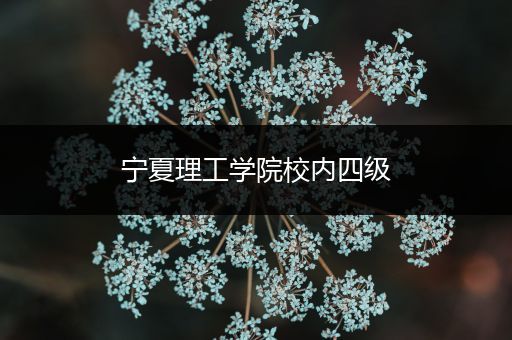 宁夏理工学院校内四级
