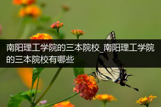 南阳理工学院的三本院校_南阳理工学院的三本院校有哪些