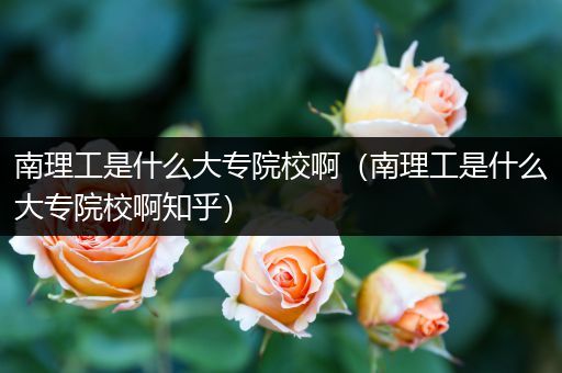 南理工是什么大专院校啊（南理工是什么大专院校啊知乎）