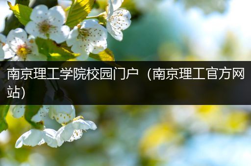 南京理工学院校园门户（南京理工官方网站）