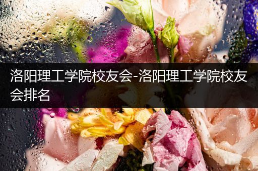 洛阳理工学院校友会-洛阳理工学院校友会排名