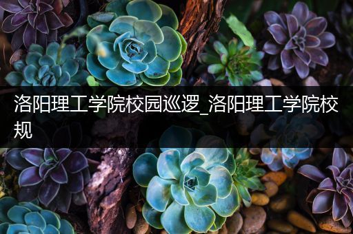 洛阳理工学院校园巡逻_洛阳理工学院校规
