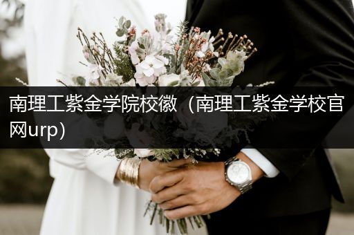南理工紫金学院校徽（南理工紫金学校官网urp）