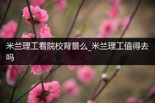 米兰理工看院校背景么_米兰理工值得去吗