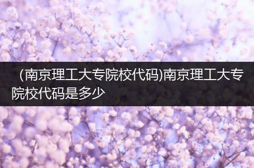 （南京理工大专院校代码)南京理工大专院校代码是多少