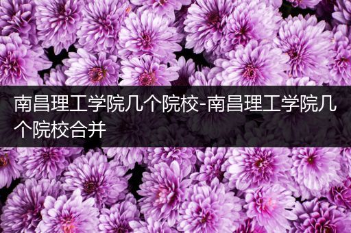 南昌理工学院几个院校-南昌理工学院几个院校合并