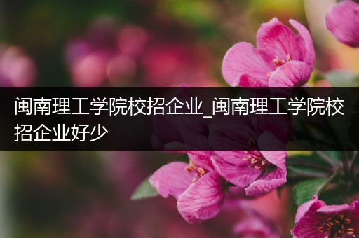 闽南理工学院校招企业_闽南理工学院校招企业好少