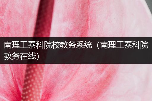南理工泰科院校教务系统（南理工泰科院教务在线）