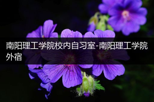 南阳理工学院校内自习室-南阳理工学院外宿