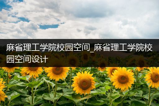 麻省理工学院校园空间_麻省理工学院校园空间设计