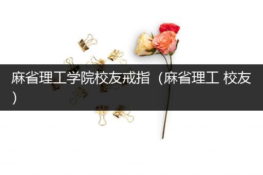 麻省理工学院校友戒指（麻省理工 校友）