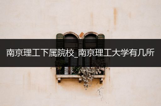 南京理工下属院校_南京理工大学有几所