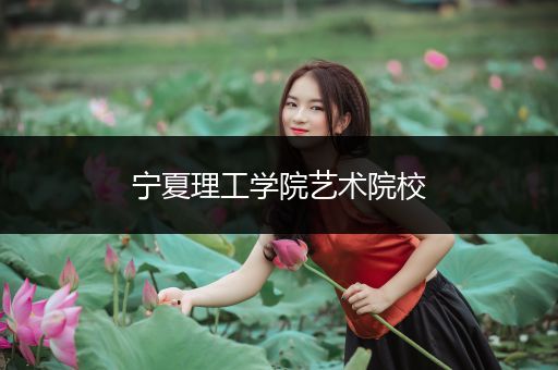 宁夏理工学院艺术院校