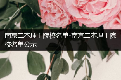 南京二本理工院校名单-南京二本理工院校名单公示