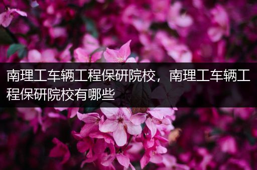 南理工车辆工程保研院校，南理工车辆工程保研院校有哪些
