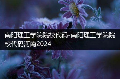 南阳理工学院院校代码-南阳理工学院院校代码河南2024