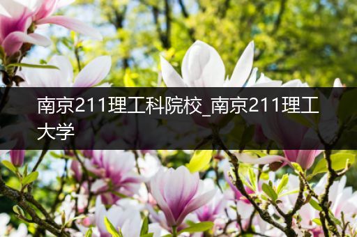 南京211理工科院校_南京211理工大学