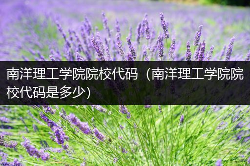 南洋理工学院院校代码（南洋理工学院院校代码是多少）