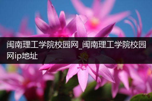 闽南理工学院校园网_闽南理工学院校园网ip地址