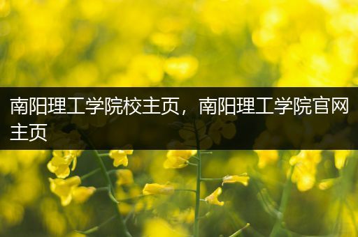 南阳理工学院校主页，南阳理工学院官网主页