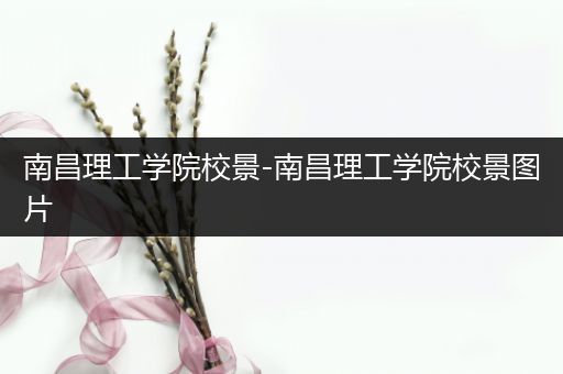 南昌理工学院校景-南昌理工学院校景图片