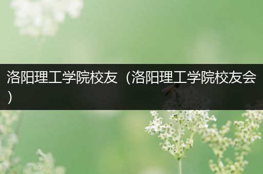 洛阳理工学院校友（洛阳理工学院校友会）