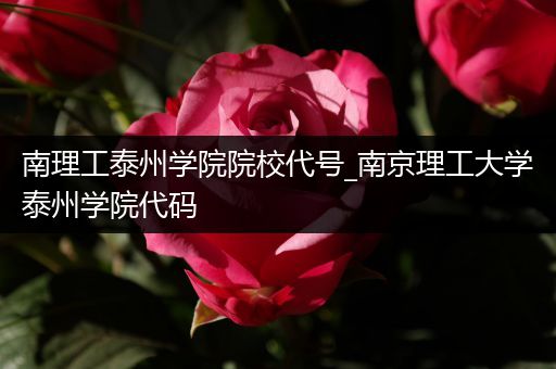 南理工泰州学院院校代号_南京理工大学泰州学院代码