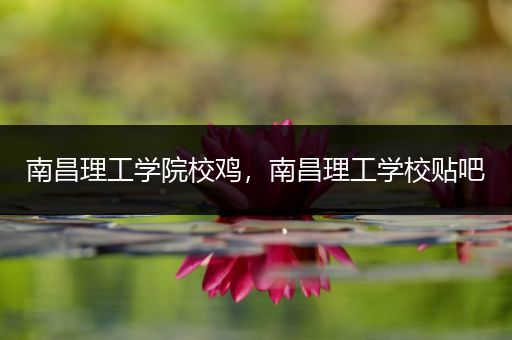 南昌理工学院校鸡，南昌理工学校贴吧