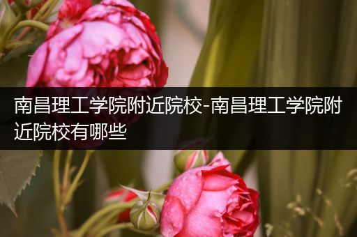 南昌理工学院附近院校-南昌理工学院附近院校有哪些