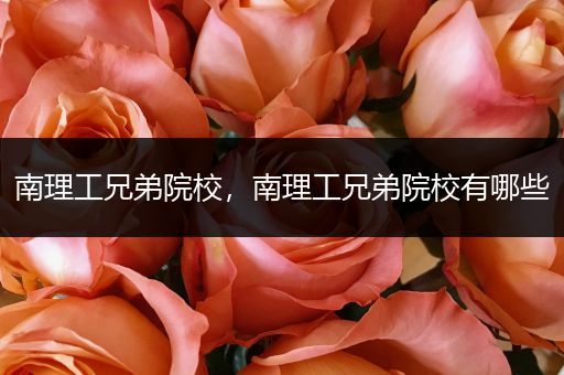 南理工兄弟院校，南理工兄弟院校有哪些