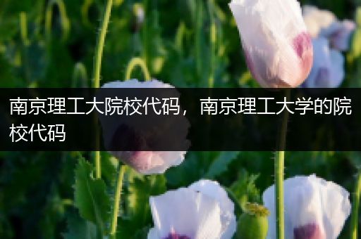 南京理工大院校代码，南京理工大学的院校代码