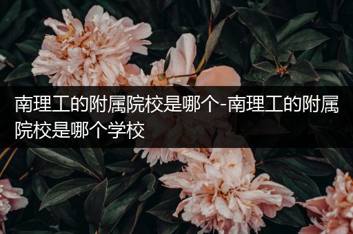 南理工的附属院校是哪个-南理工的附属院校是哪个学校